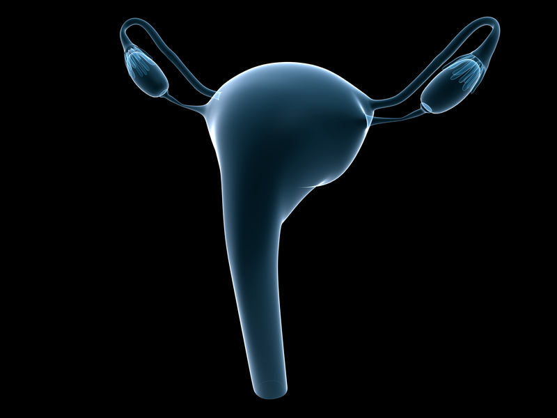Рак шейки матки: первые симптомы и стадии заболевания